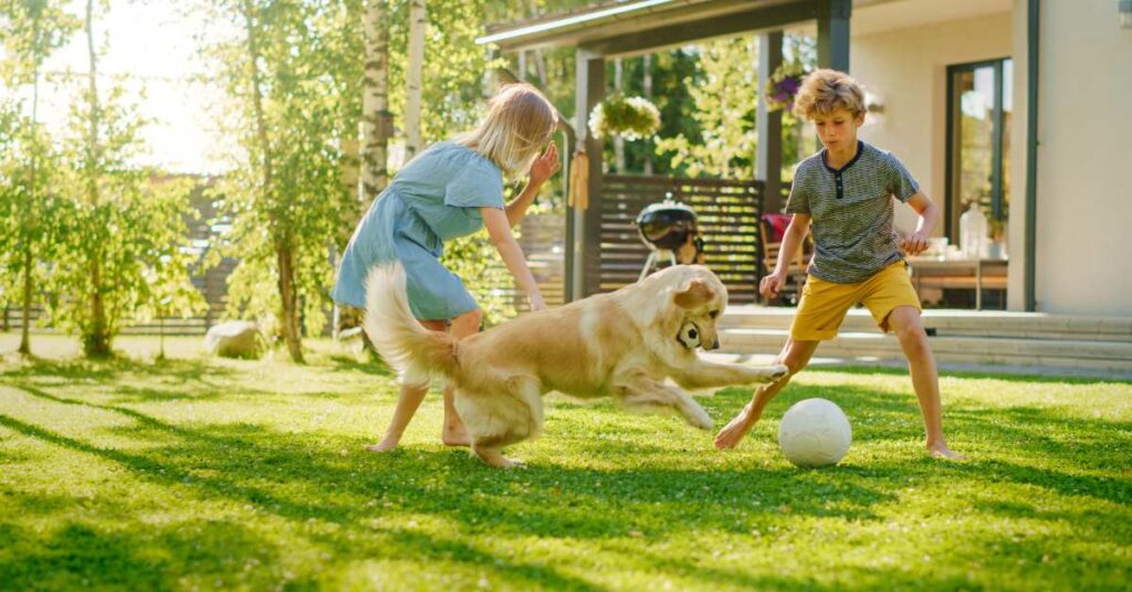 Family playing with dog in backyard