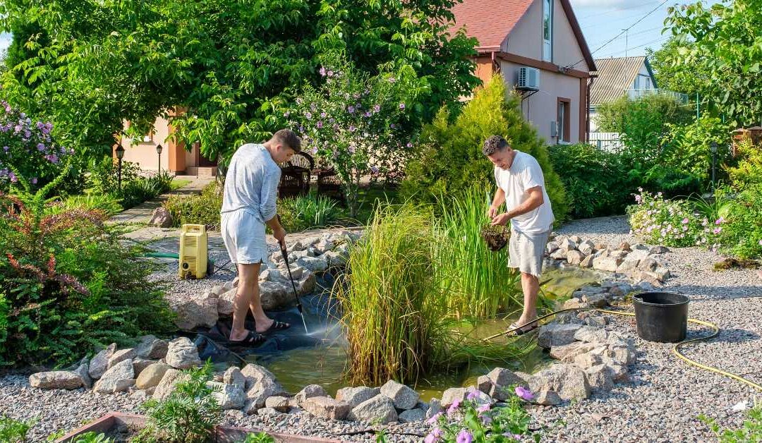 How To build a fish pond – What Options Are Available?